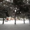 la grande nevicata del febbraio 2012 032